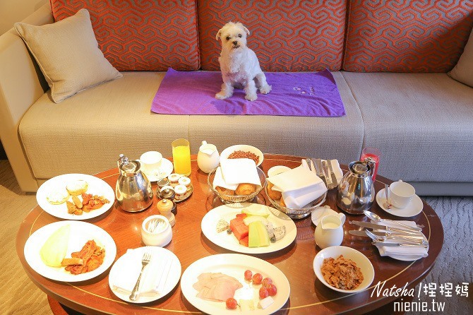 台北君悅酒店│寵物友善五星級飯店~愛犬小貴賓與飼主一起享受五星級服務