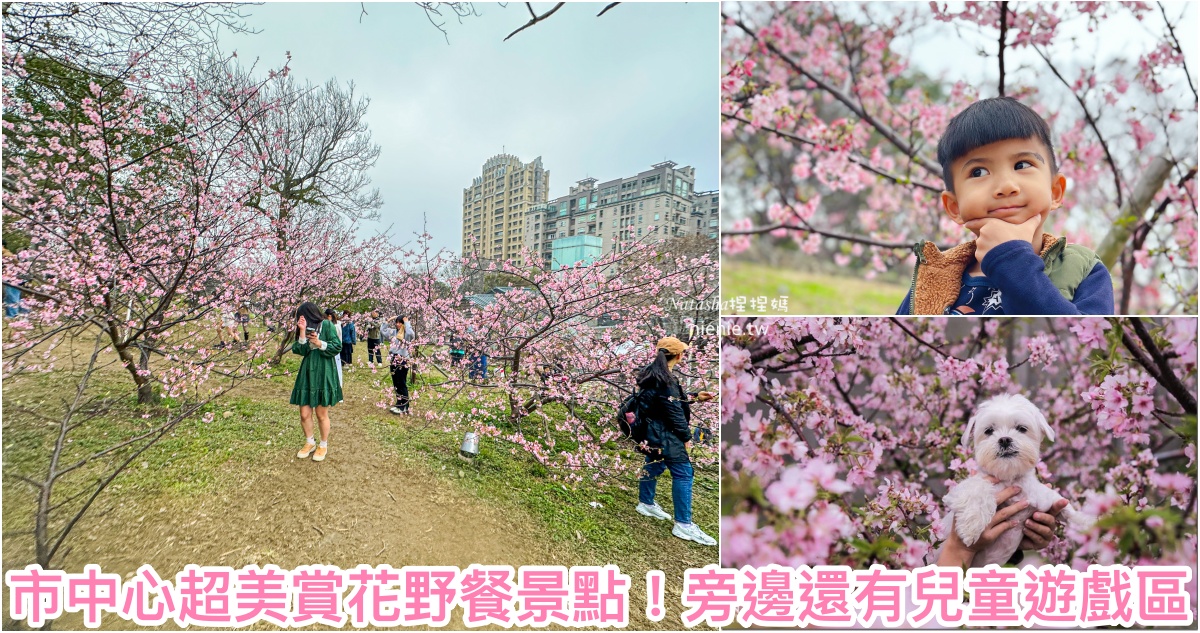 網站近期文章：新竹景點｜新竹賞櫻｜ 新竹公園～市中心超方便賞櫻景點 還有兒童遊戲區