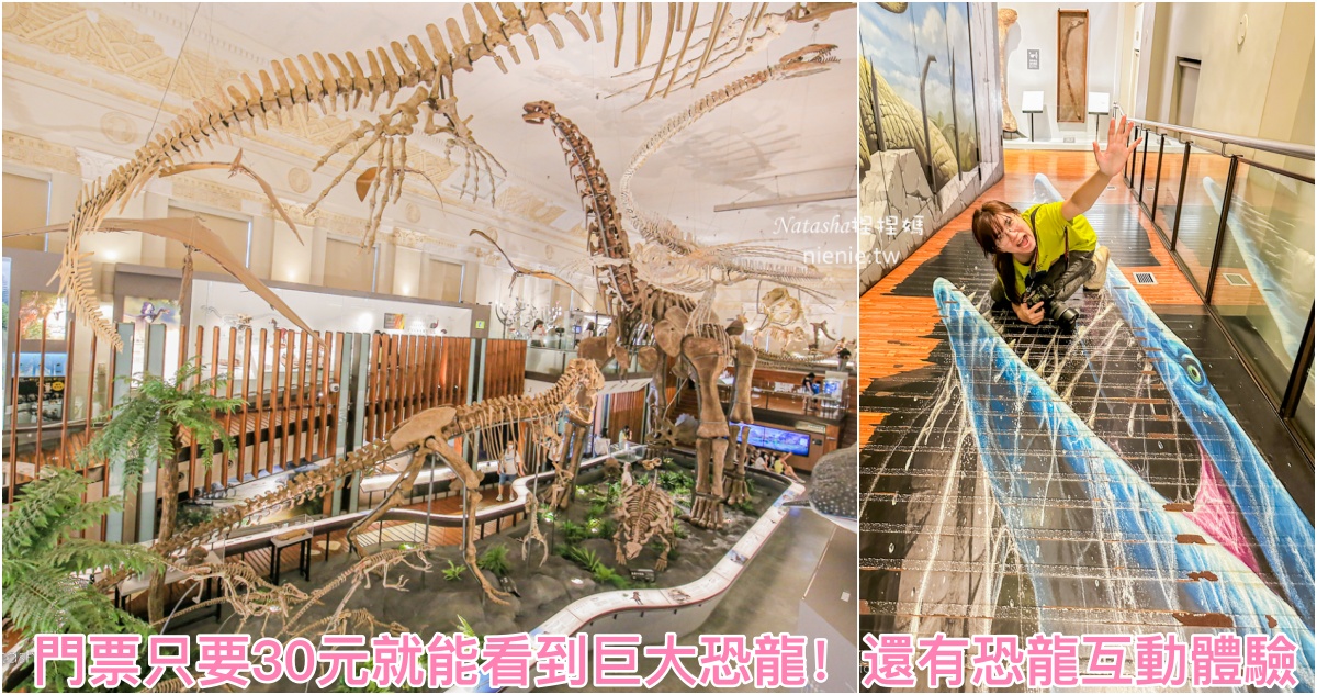 網站近期文章：台北親子室內景點 台灣博物館-古生物館(土銀展示館)~巨大恐龍和恐龍互動體驗