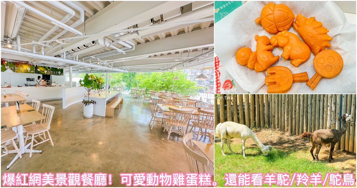 即時熱門文章：新竹景觀餐廳｜森林食堂~網美餐廳有羊駝、伊蘭羚羊、鴕鳥和動物雞蛋糕