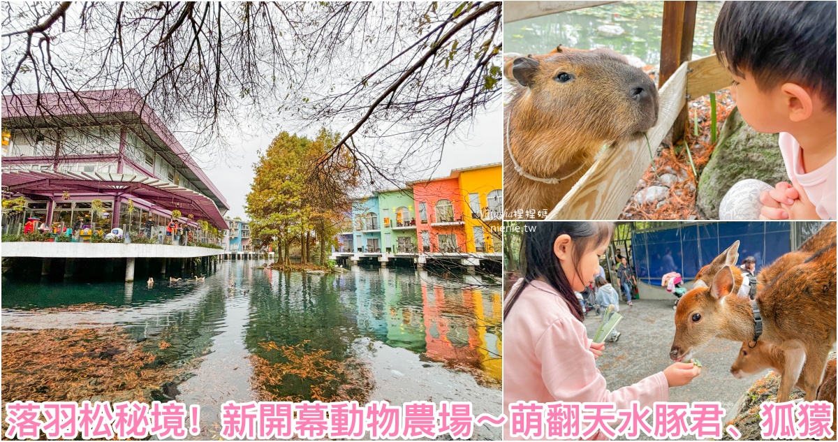 宜蘭動物民宿,宜蘭包場餐廳,宜蘭動物農場,宜蘭農場排名,宜蘭美食,宜蘭景觀餐廳,宜蘭餐廳,宜蘭景點,宜蘭水豚君,宜蘭民宿推薦,宜蘭動物景點,張美阿嬤農場,水岸森林休閒農場,宜蘭農場住宿,宜蘭親子景點,水岸森林物語,2024宜蘭最新農場,宜蘭親子餐廳,2024宜蘭農場,宜蘭冬山景點,宜蘭親子農場,水岸森林會館,宜蘭景觀住宿,宜蘭親子住宿,小型宜蘭動物園,宜蘭聚會餐廳,宜蘭寵物景點 @捏捏媽Natasha。食在遊趣