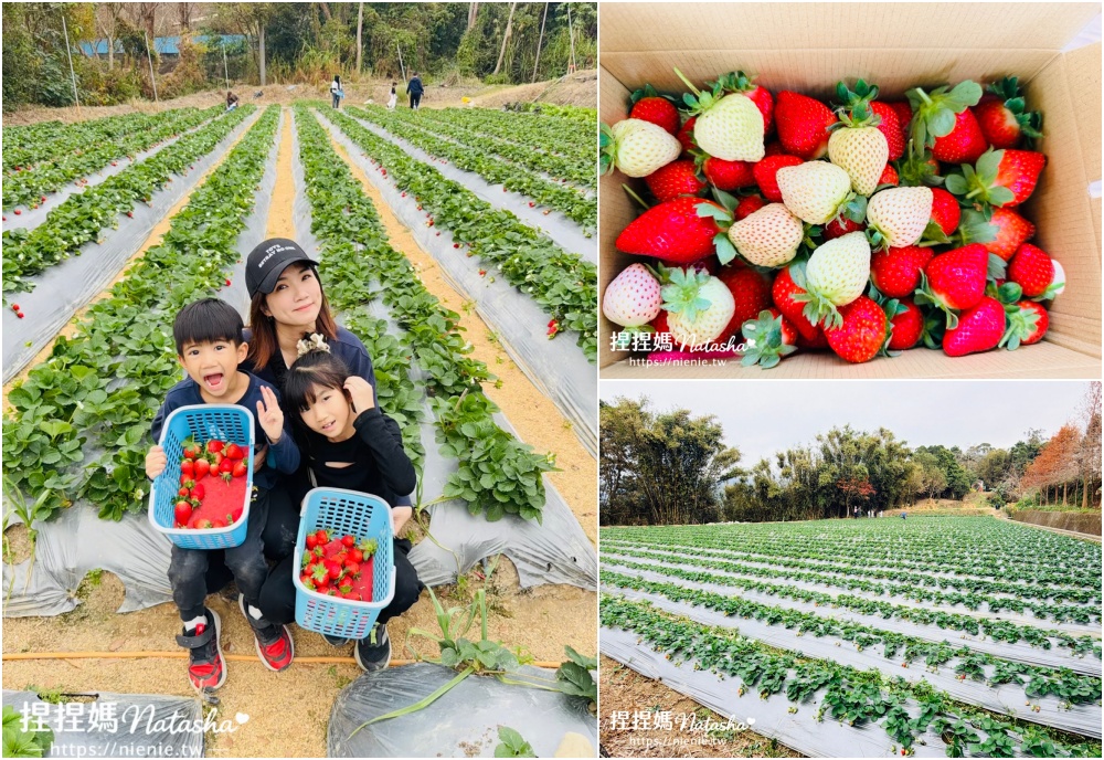 苗栗親子景點