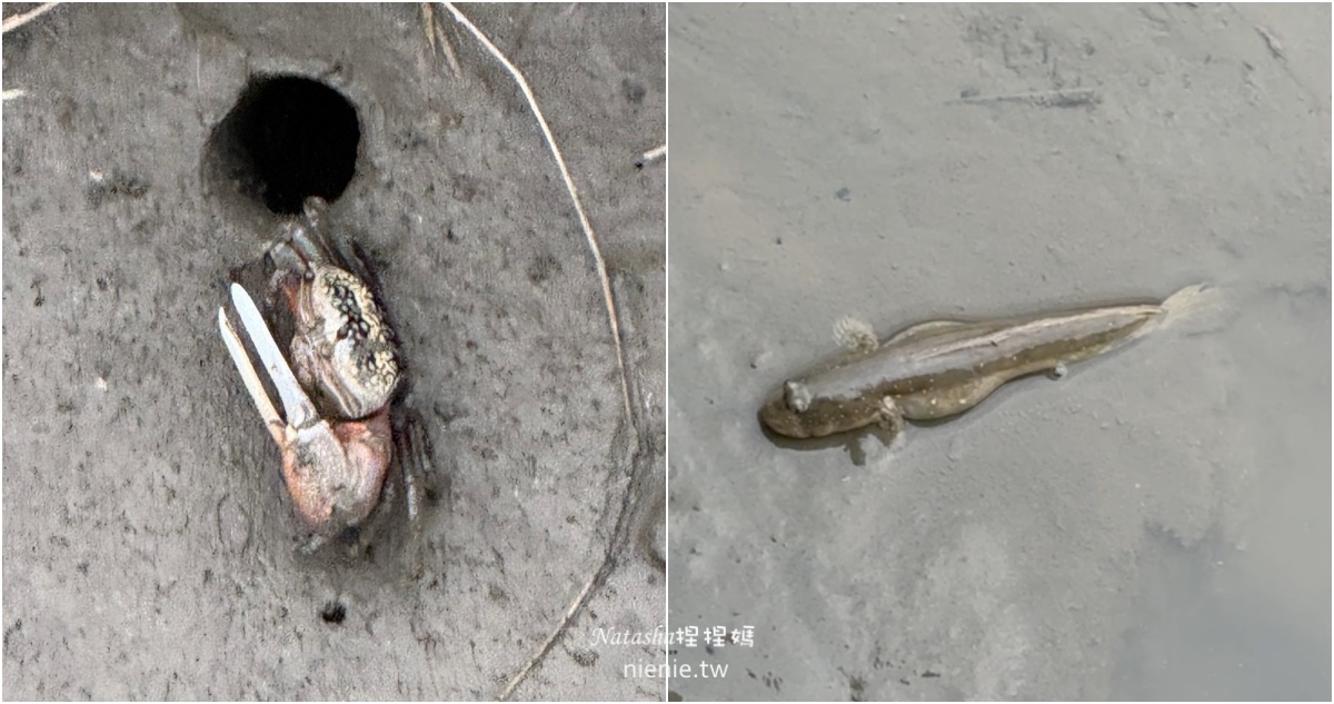 台中親子景點