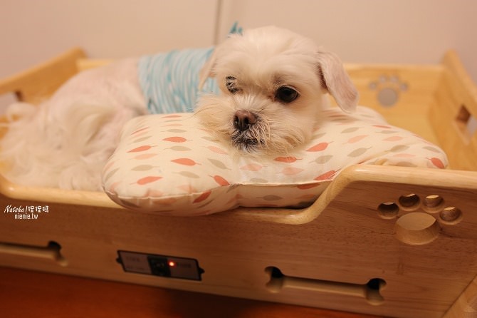 寵物床│Beetle的寵物專用冰暖床~對抗寒流及酷夏最佳節電環保床一天不到5元28