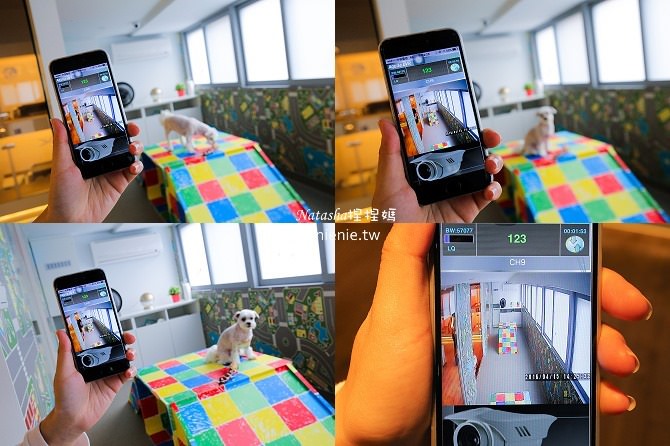 台中狗旅館-瑋特ㄚ狗生活館的寵物遊戲攝影監控