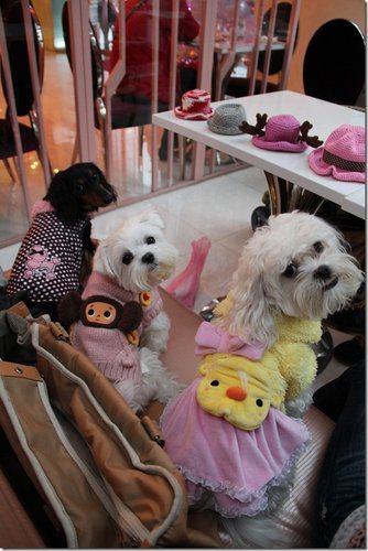  @捏捏媽Natasha。食在遊趣