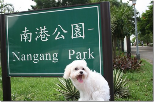 即時熱門文章：寵物旅遊│台北南港景點│南港公園