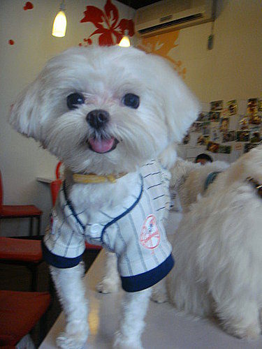  @捏捏媽Natasha。食在遊趣